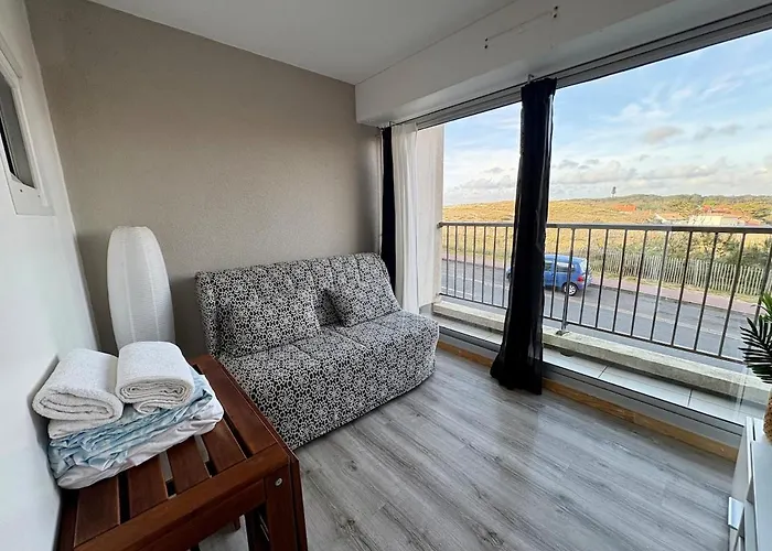 Sable - T2 Avec 1 1 Salle De Bain 1 Canape-lit Et Balcon * Lacanau